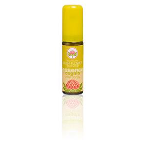 Cognis Oral Spray