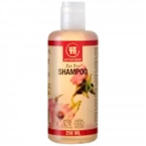 Tea Tree Shampoo