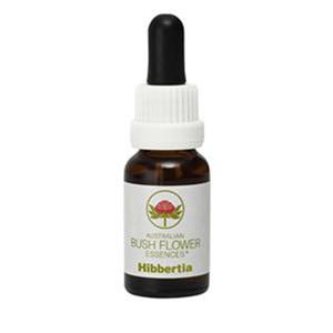  Hibbertia