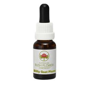 Billy Goat Plum Essence