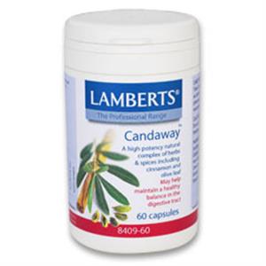 Lamberts Candaway