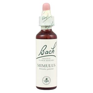 Mimulus