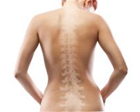 Womens back