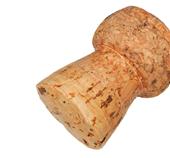 What causes Pitted Skin?