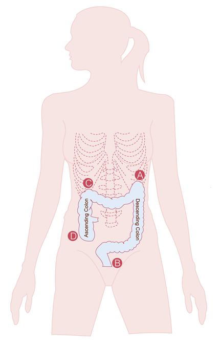 Colon Diagram